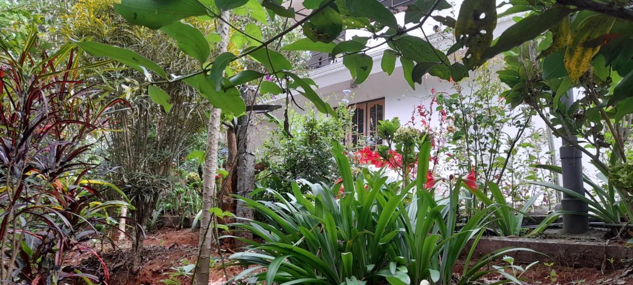 Le Farmhouse Munnar Anachal Extérieur photo