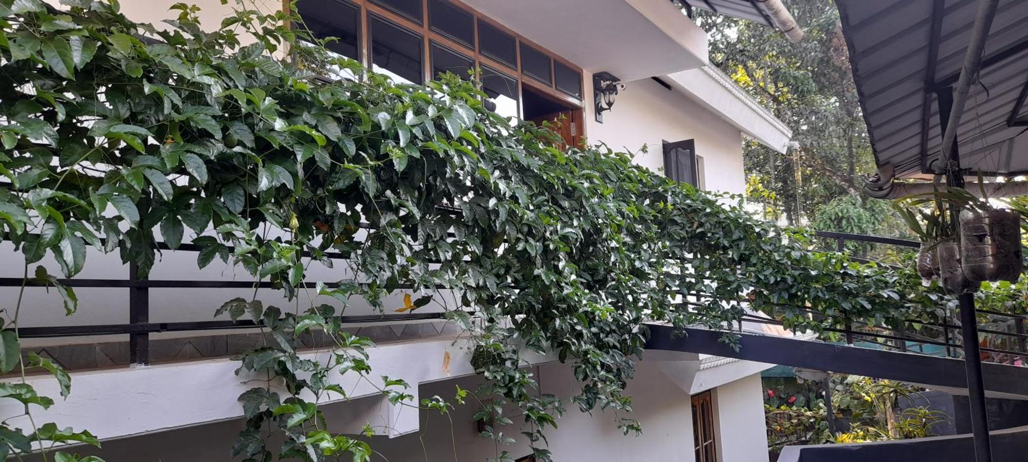 Le Farmhouse Munnar Anachal Extérieur photo